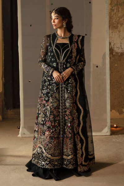 Afrozeh - Hayat Wedding Formal Collection 2024 - Meera