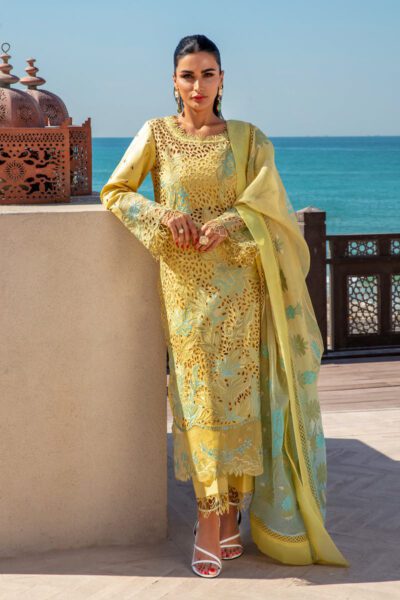 Rang Rasiya - Premium Summer Collection 2025 - Minal