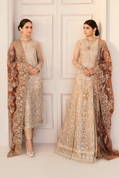 Baroque - Chantelle Embroidered Formals Collection 2023 Vol-11 - D03