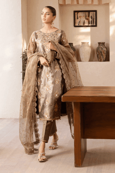 Emaan Adeel - Noore Festive Formals Collection 2025 - Raveen