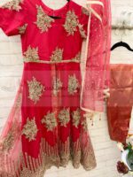 Fancy Net Full Dress for Girls - Blossoms by Azz