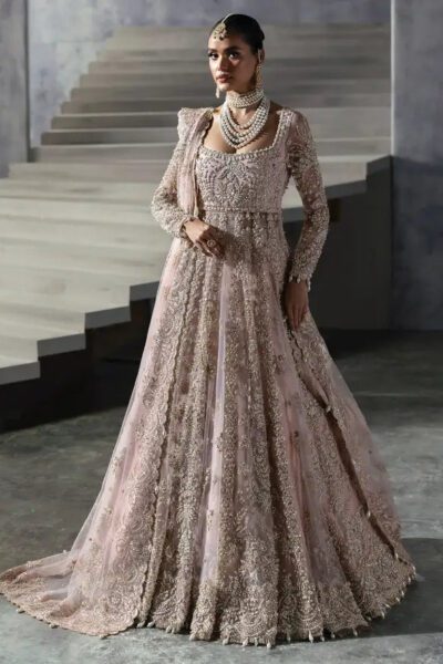 Afrozeh -  The Brides Edit Wedding Collection 2024 - D-02 Sofia