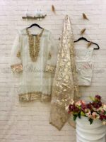 Organza Outfit With Hand & Gota Work - Blossoms by Azz