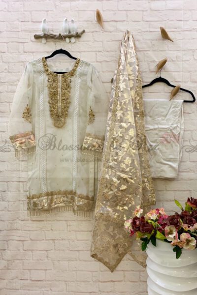 Organza Outfit With Hand & Gota Work - Blossoms by Azz