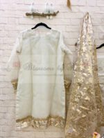 Organza Outfit With Hand & Gota Work - Blossoms by Azz