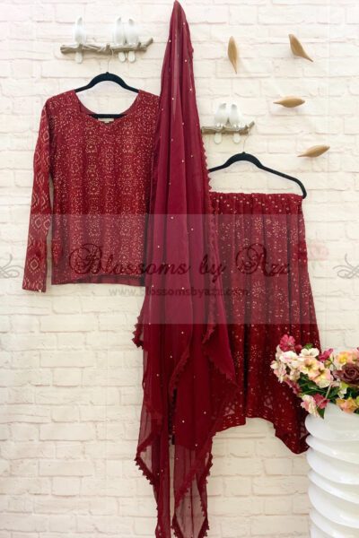 Chikankari Lehnga Outfit - Blossoms by Azz