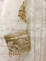 Organza Outfit With Hand & Gota Work - Blossoms by Azz