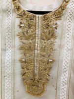 Organza Outfit With Hand & Gota Work - Blossoms by Azz