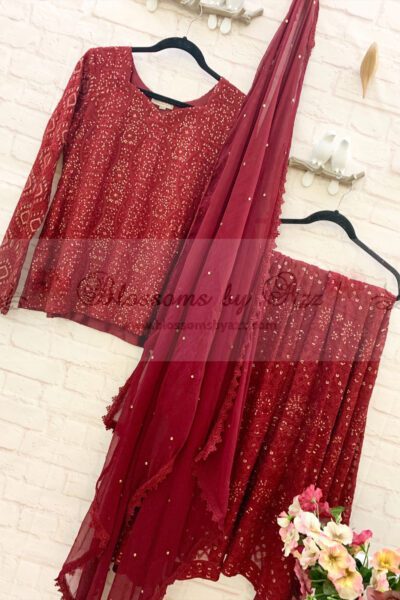 Chikankari Lehnga Outfit - Blossoms by Azz