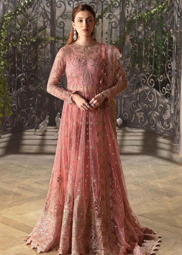 la-fuchsia-by-afrozeh-wedding-formals-collection-2024-d-07-rosa-_1_.jpg_width_640