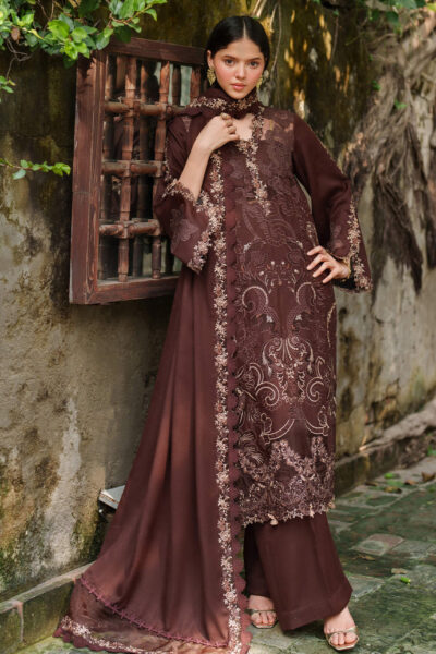 Asifa & Nabeel - Pashmina Luxury Winter Collection 2025 - D-10 Aima
