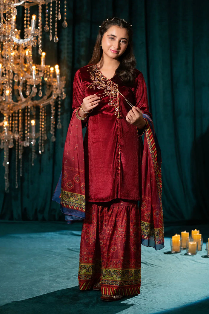 velvet_dress_velvet_dress_design_pakistani_velvet_suits